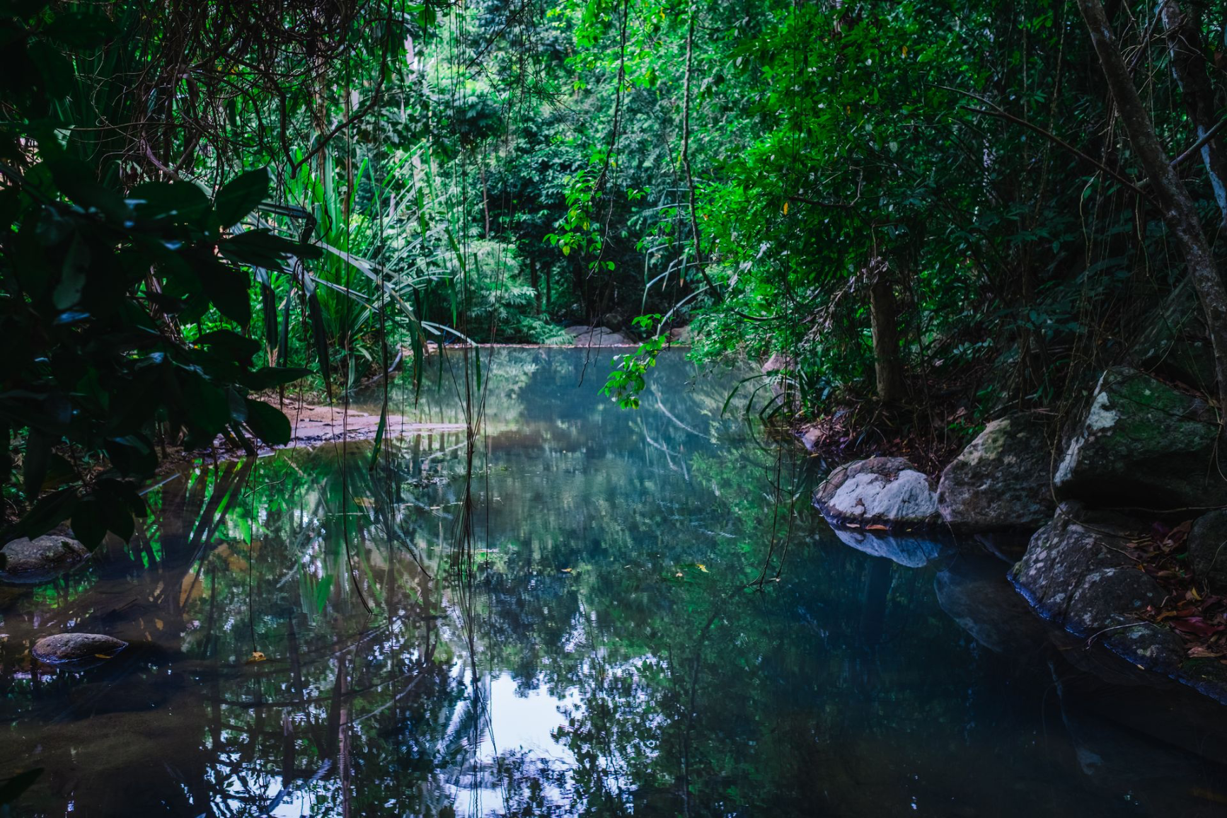 arcana wellness village